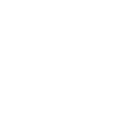 White LinkedIn Icon